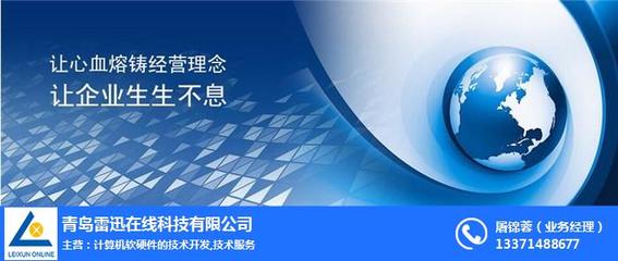 上海網(wǎng)站推廣與計算機軟硬件技術(shù)開發(fā) 雷迅在線的綜合服務策略